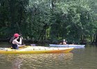 KayakSkokieLagoons070118-8328  Kayaking Skokie Lagoons with Molly : 2018, Kayaking, Skokie Lagoons, paddling